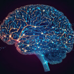 Empowering Recovery How NeuralScan Brain Mapping Transforms Personal Injury Case